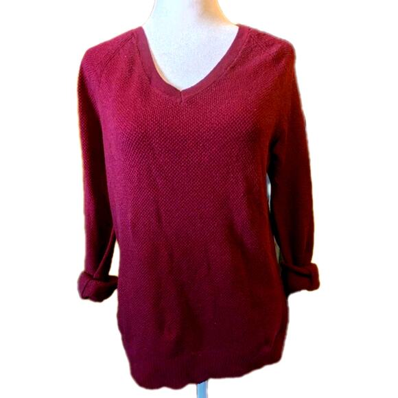 GAP Vtg Bella V Neck Ruby Wine Fine Cotton Sweater Academia Normcore Minimal - Picture 1 of 8